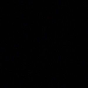 Meet your Posher, Lucy